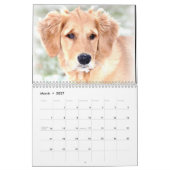 Penny-Kalender 2015 Kalender (Mär 2027)