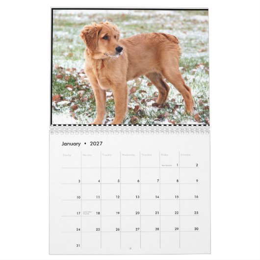 Penny-Kalender 2015 Kalender (Jan 2027)