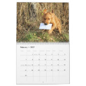 Penny-Kalender 2015 Kalender (Feb 2027)
