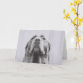 Penny Karte (Gelbe Blume)