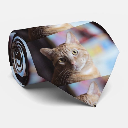 Penny Krawatte (Gerollt)