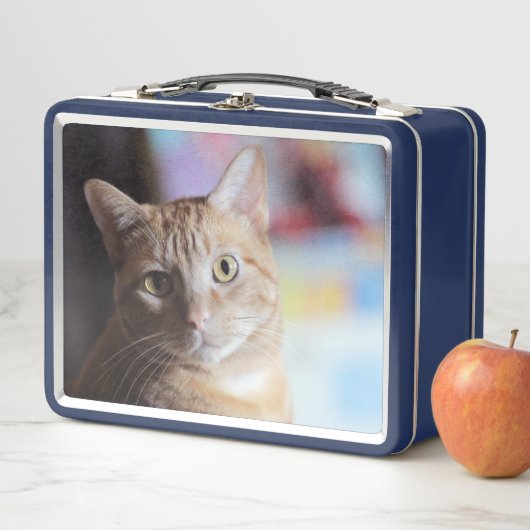 Penny Metall Brotdose (Beispiel)