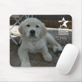 Penny Mousepad (Mit Mouse)