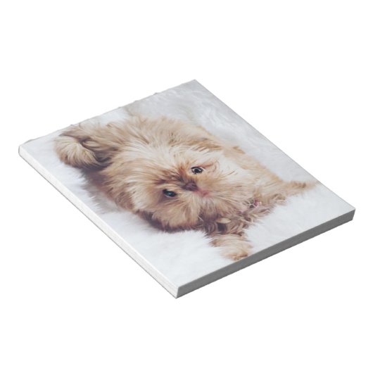 Penny orange liver Shih Tzu Welpenpapier Notizblock (angewinkelt)