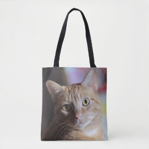 Penny Tasche