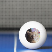 Penny Tischtennisball (Netto)