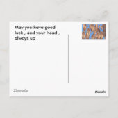 Pennys aus dem Himmel Postkarte (Rückseite)