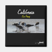 Penny's Magnet (Vorne)