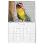 Pennys-Pico Lovebirds Kalender (Feb 2027)