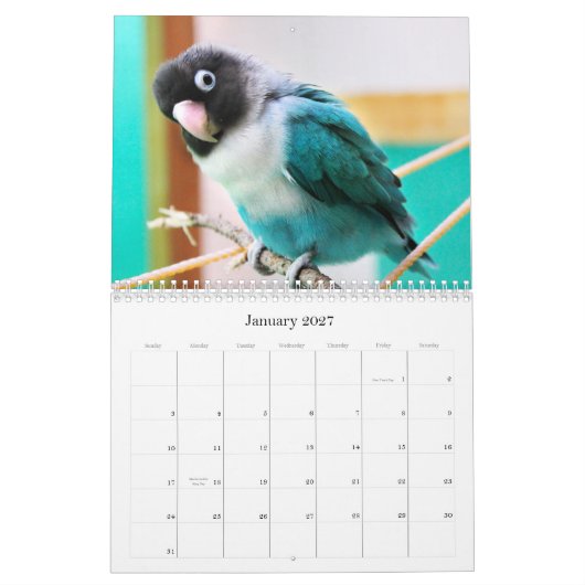 Pennys-Pico Lovebirds Kalender (Jan 2027)