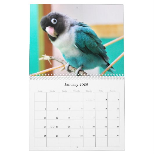 Pennys-Pico Lovebirds Kalender (Jan 2026)
