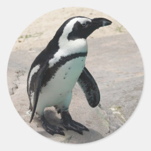 Penquin Aufkleber