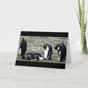 Penquin Montags Notecard Karte