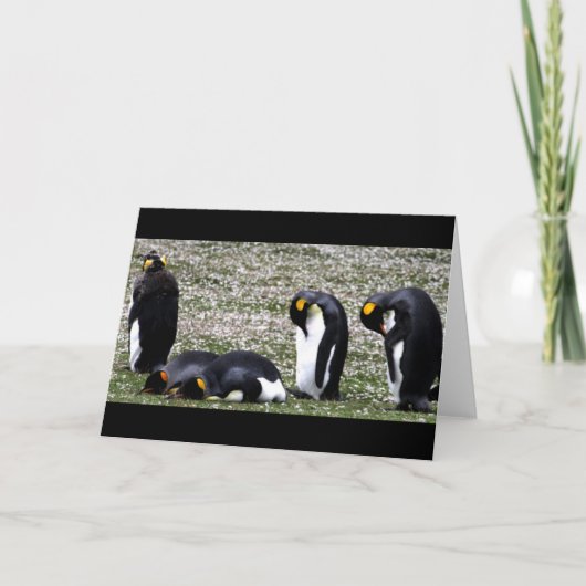 Penquin Montags Notecard Karte (Vorderseite)