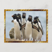 Penquin Walking Postkarte (Vorderseite)