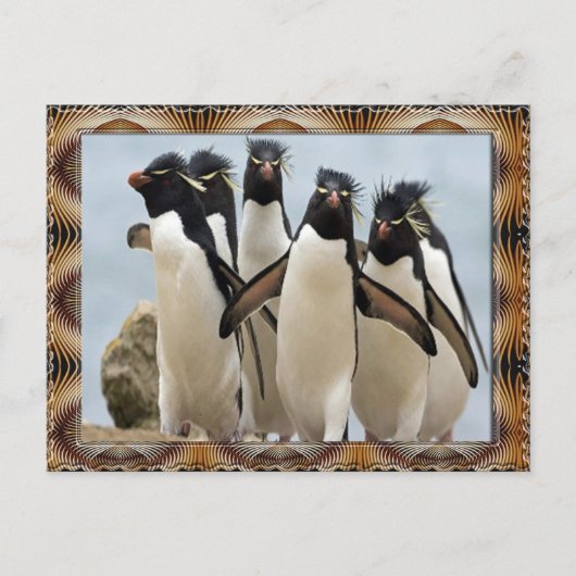 Penquin Walking Postkarte (Vorderseite)