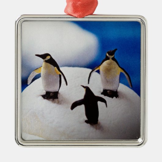 PENQUINS CELEBRATE=CHRISTMAS ORNANATION SILBERNES ORNAMENT (Vorne)