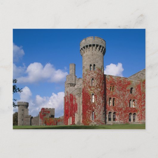 Penrhyn Castle, Gwynedd, Wales 3 Postkarte (Vorderseite)