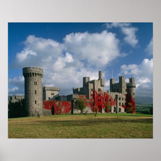 Penrhyn Castle, Gwynedd, Wales Poster (Vorne)