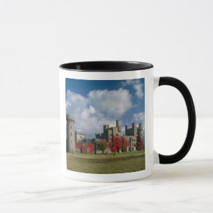 Penrhyn Castle, Gwynedd, Wales Tasse