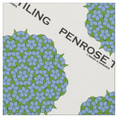 Penrose-Verschmelzung, fünffach-Symmetrie Stoff (Nahaufnahme)