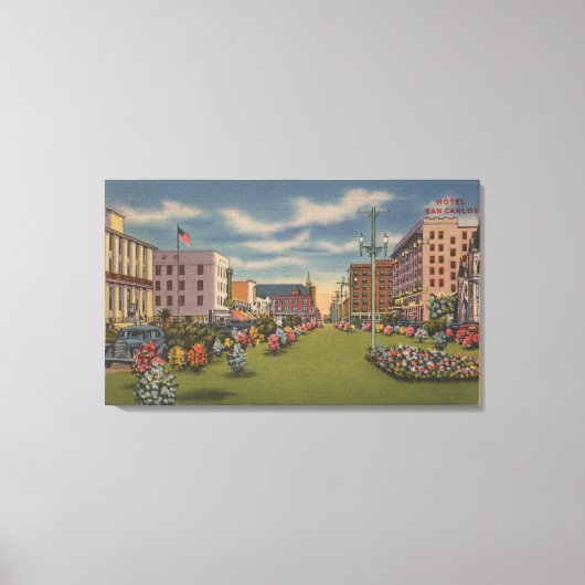 Pensacola, FL - Südansicht von Palafox Leinwanddruck (Vorderseite)