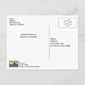 Pensacola Lifegustation Sunrise Postcard Postkarte (Rückseite)