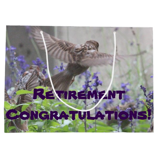 Pensionsgeschenktasche Große Geschenktüte (Rückseite)