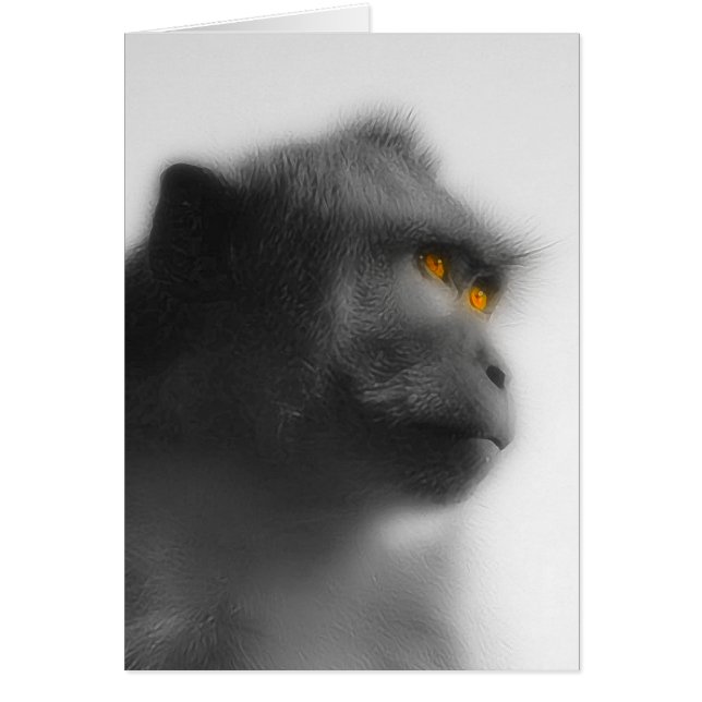 Pensionskaffe (Vorne)