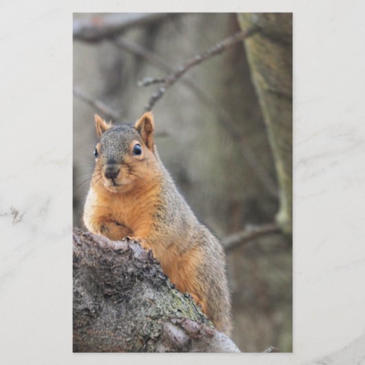 pensiv briefpapier (Vorderseite)