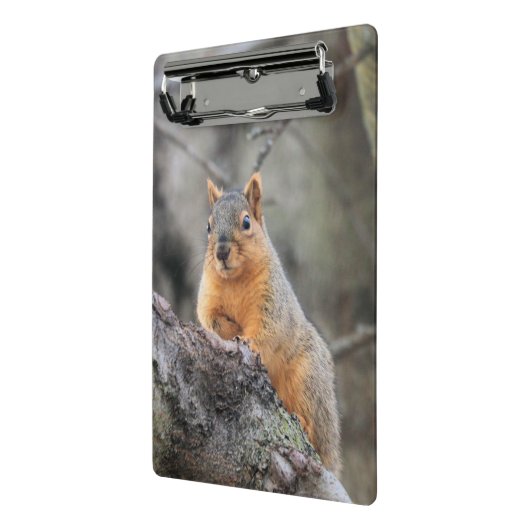 pensiv mini klemmbrett (Gewinkelt2)