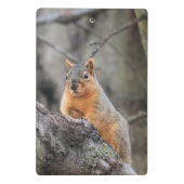 pensiv mini klemmbrett (Rückseite)