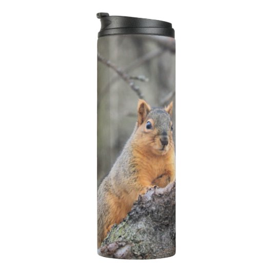 pensiv thermosbecher (Nach rechts gedreht)