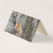 pensiv visitenkarten (Vorderseite)