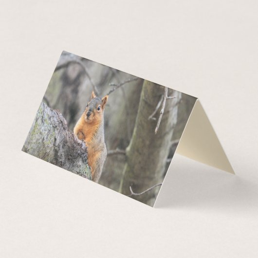 pensiv visitenkarten (Vorderseite)