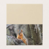 pensiv visitenkarten (Außenseite Aufgefaltet)