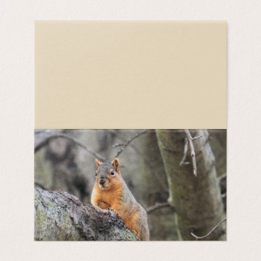 pensiv visitenkarten (Außenseite Aufgefaltet)