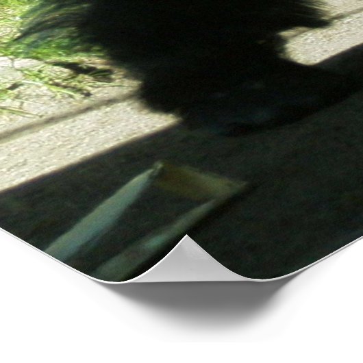 Pensive Gorilla Poster (Ecke)