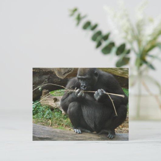 Pensive Gorilla Postkarte (Stehend Vorderseite)