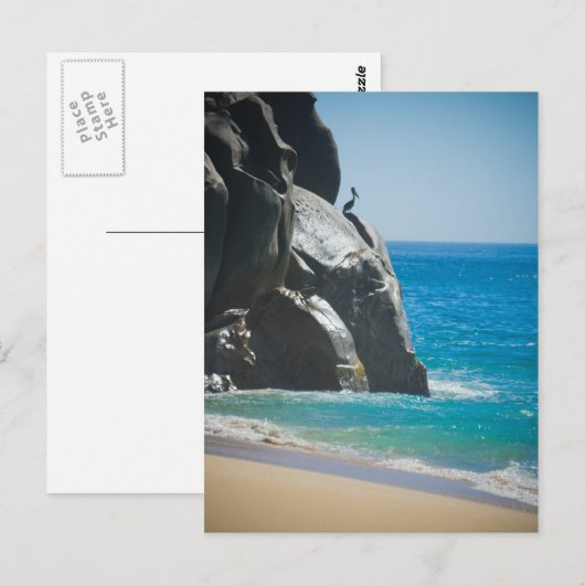 Pensive Pelican Postkarte (Vorne/Hinten)