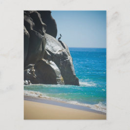 Pensive Pelican Postkarte