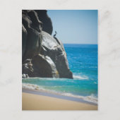 Pensive Pelican Postkarte (Vorderseite)