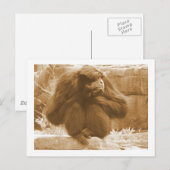 Pensive Primat Postkarte (Vorne/Hinten)