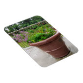 Penstemon Magnet (Rechte Seite)