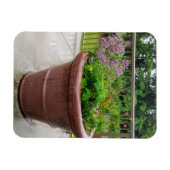 Penstemon Magnet (Horizontal)