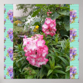 Penstemon Pink Blume Foto Garten Poster (Vorne)