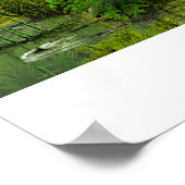 Pentaceratops aus New Mexico Poster (Ecke)