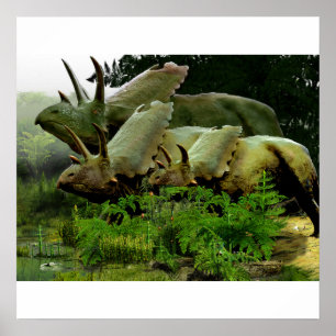 Pentaceratops aus New Mexico Poster