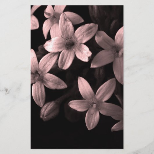 Pentas Briefpapier (Vorderseite)