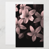 Pentas Briefpapier (Vorne/Hinten)